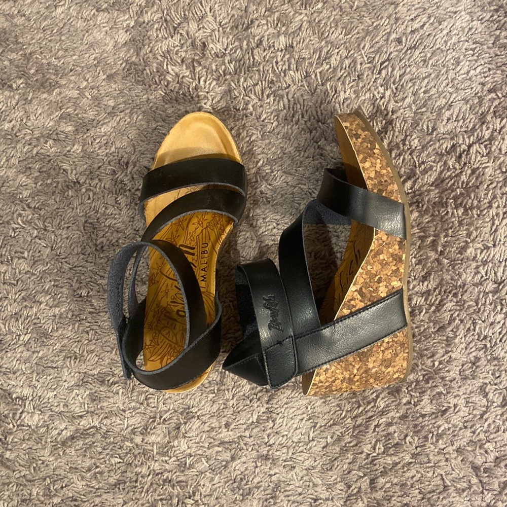 Blowfish wedges